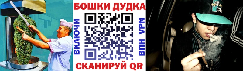 как найти   Устюжна  Canna-Cookies конопля 