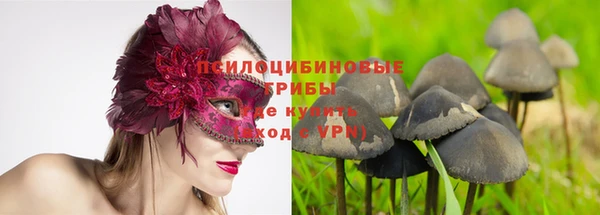 PSILOCYBIN Алексеевка